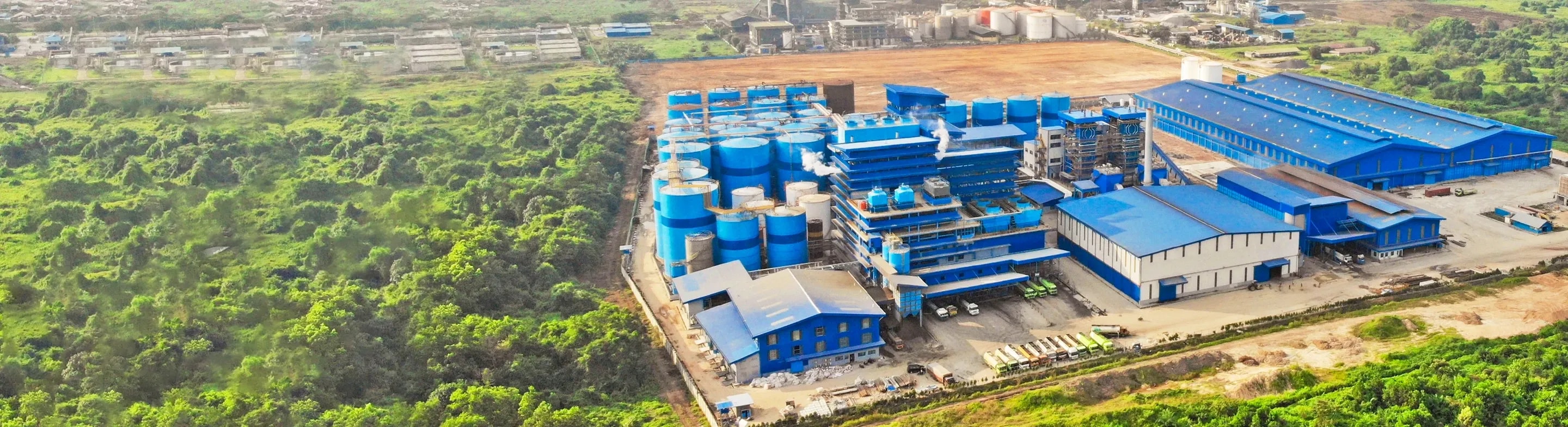 Permata Group palm plantation from above